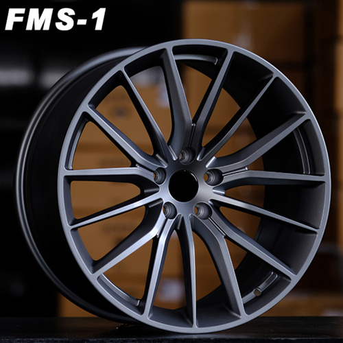 FMS-1