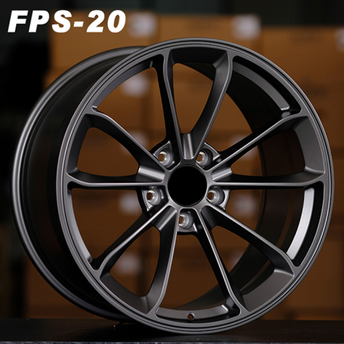 FSP-20