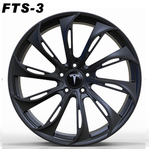 FTS-3
