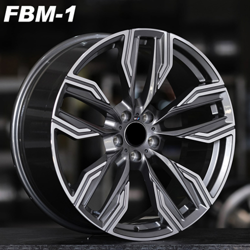 FBM-1
