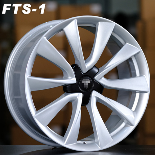 FTS-1