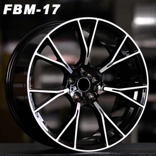 FBM-17