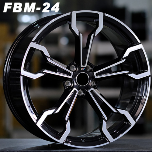 FBM-24
